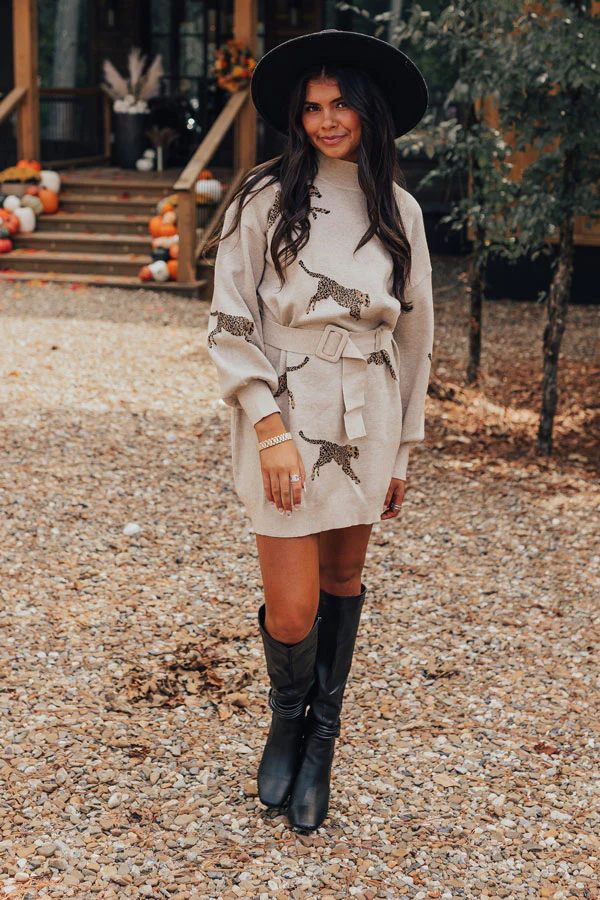 Fiercely In Love Sweater Dress In Birch - Image 5
