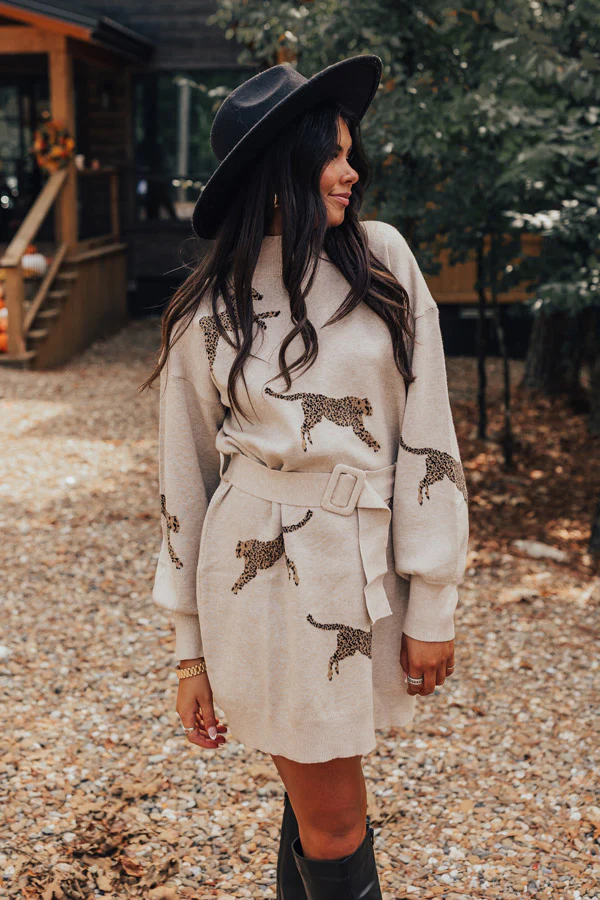 Fiercely In Love Sweater Dress In Birch - Image 6